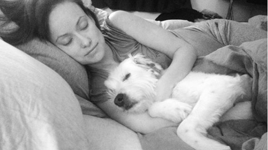 Olivia Wilde mit Hündchen Paco