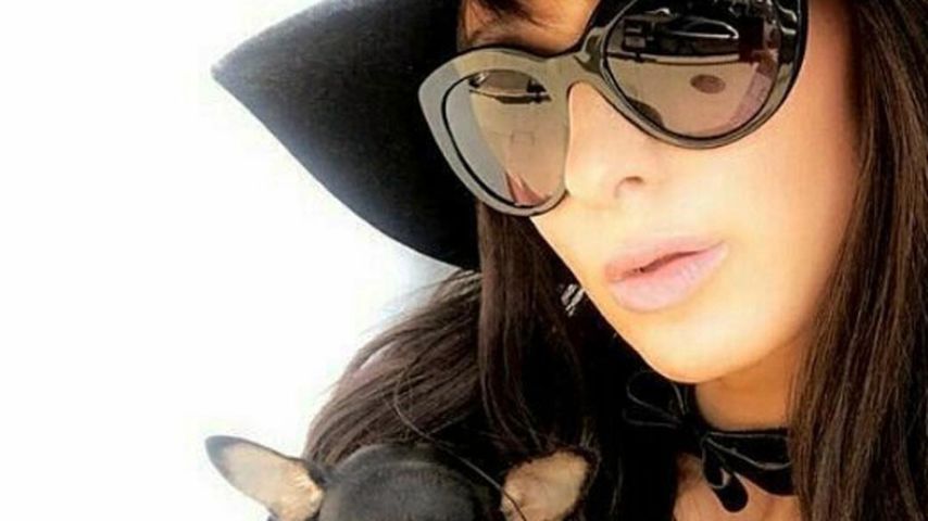 Paris Hilton 2017 mit Hund Diamond Baby
