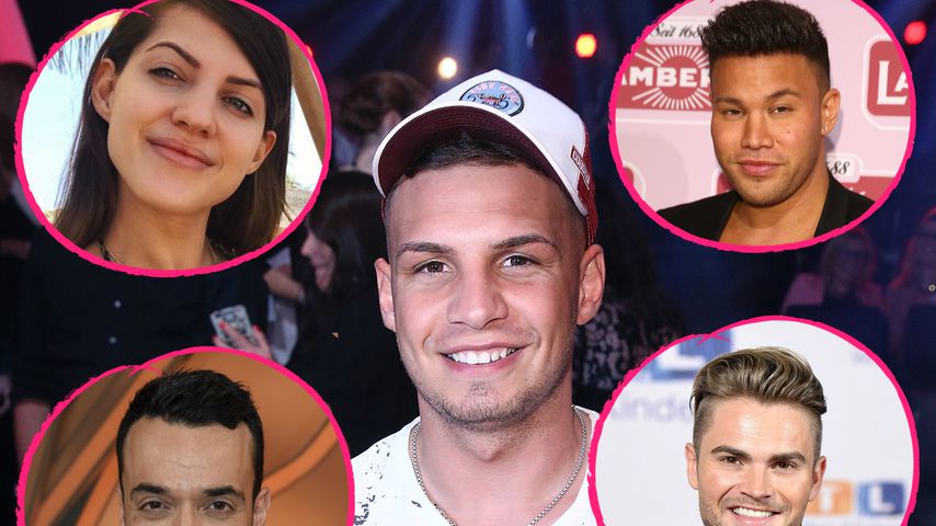 Harrisons und Co.: Diese Promis feiern Pietros neuen Song!