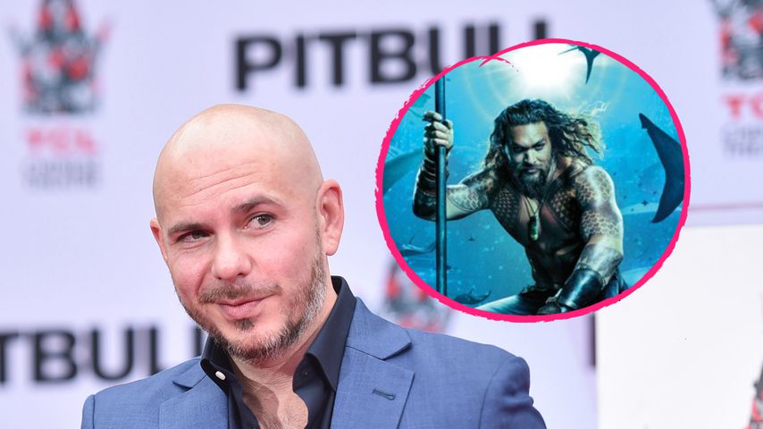 Fans entsetzt: Pitbull covert Totos "Africa" für "Aquaman"!