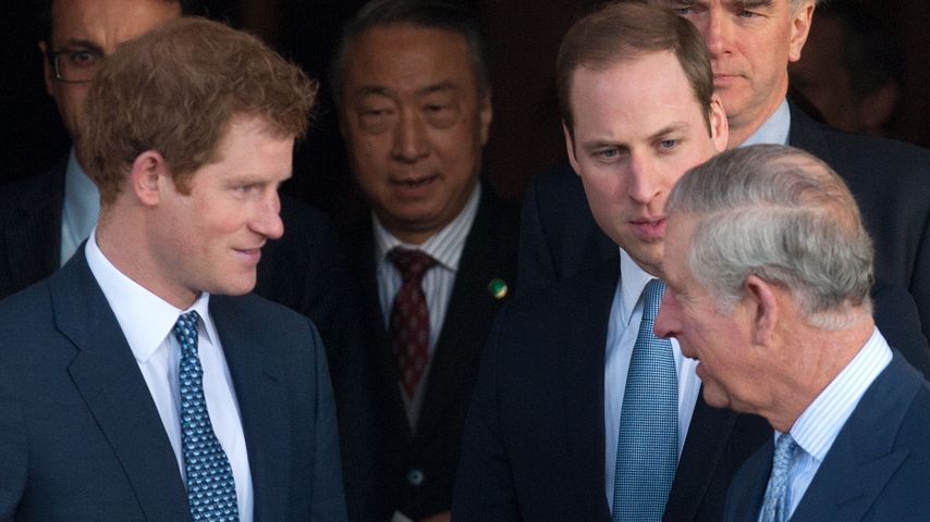 Prinz Harry, Prinz William und Prinz Charles