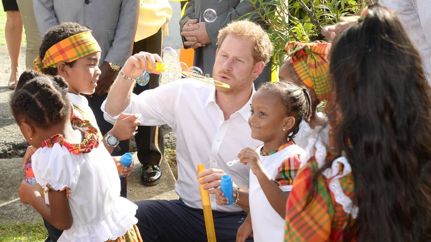 Prinz Harry auf Karibik-Reise in Antigua