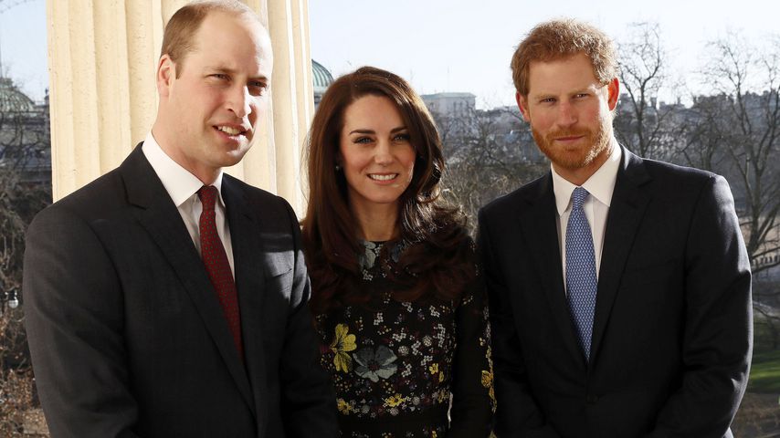 William, Kate & Harry: Nahbar wie nie in Gedenken an Diana