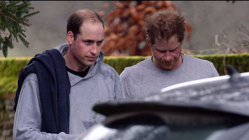 Prinz Harry und Prinz William