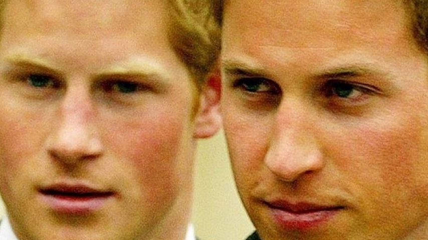 Prinz Harry und Prinz William