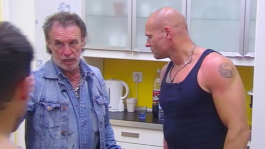 Alexander Posth, Thorsten Legat, René und Maria Weller bei "Das Sommerhaus der Stars"