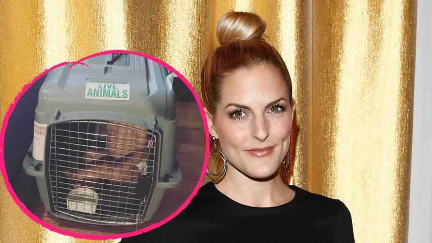 Sandy Mölling sorgt für Aufsehen: Kind sitzt im Hundekäfig!