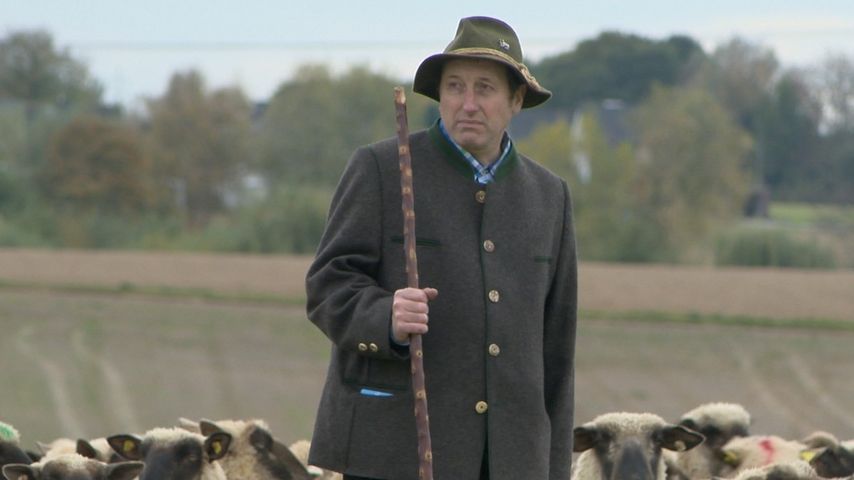 Schäfer Heinrich