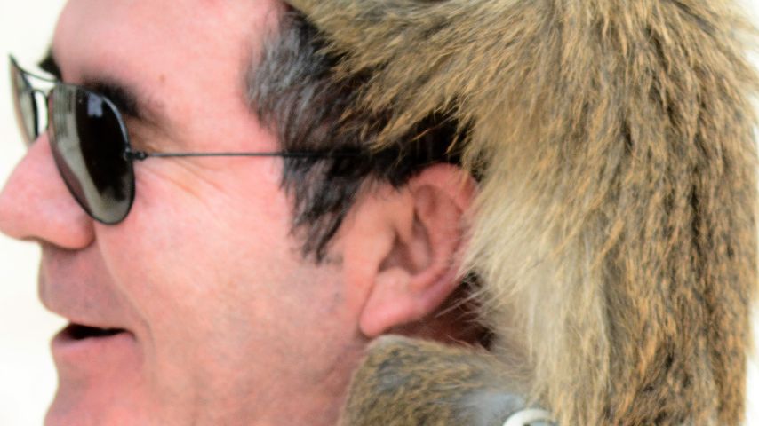 Simon Cowell