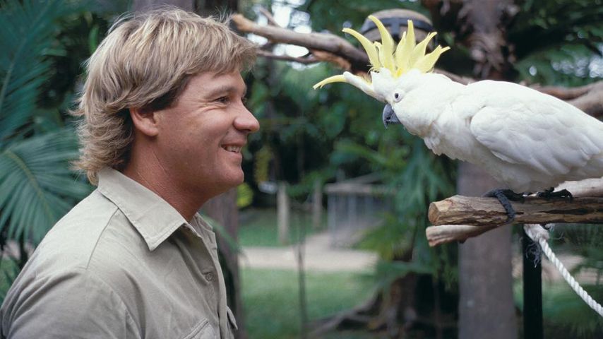 Steve Irwin, verstorbener Dokumentarfilmer