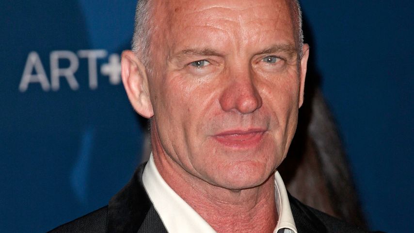 Sänger Sting