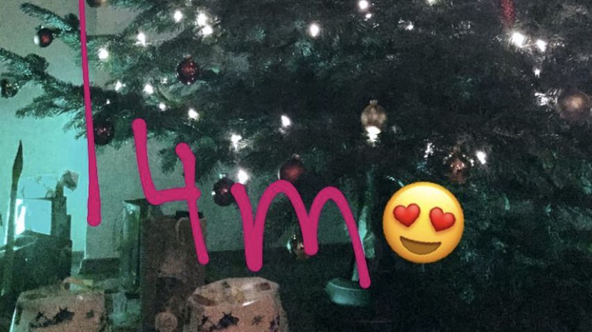 Tannenbaum von Rebecca Mir und Massimo Sinató