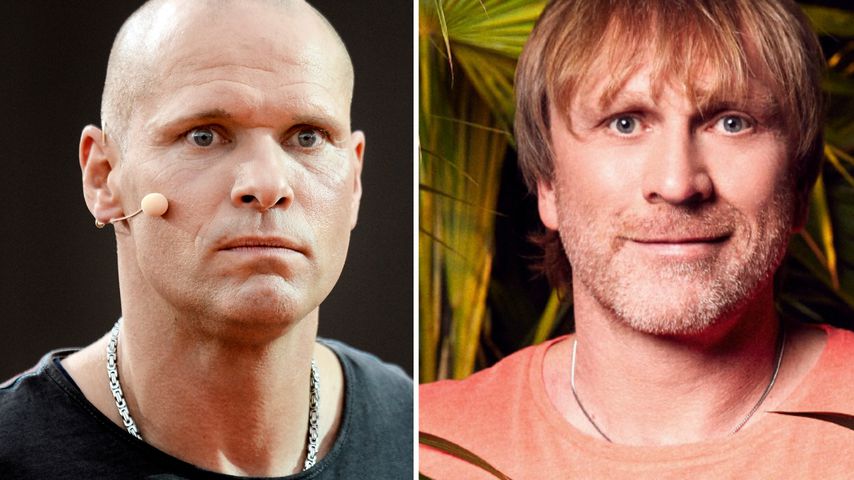 Thorsten Legat vs. Ansgar: Wer gewinnt den Dschungelbeef?