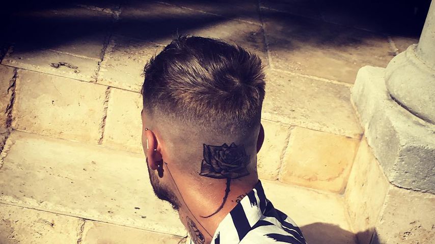 Zayn Malik, Sänger