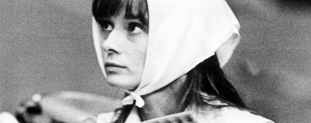 Audrey Hepburn Audrey Hepburn