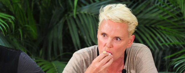 Brigitte Nielsen Brigitte Nielsen