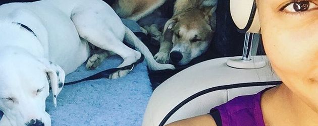 Cassandra Steen mit ihren beiden Hunden Cassandra Steen mit ihren beiden Hunden