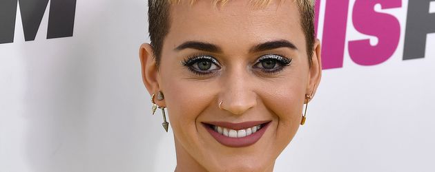 Katy Perry, Sängerin Katy Perry, Sängerin