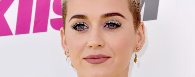 Katy Perry, Sängerin Katy Perry, Sängerin