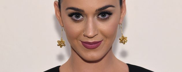Katy Perry, Sängerin Katy Perry, Sängerin