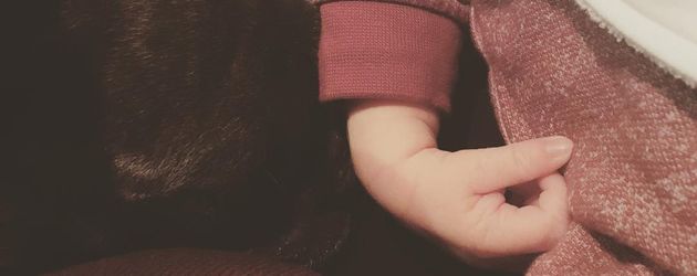 Kaya Scodelarios Sohn mit Hund Arnie Kaya Scodelarios Sohn mit Hund Arnie