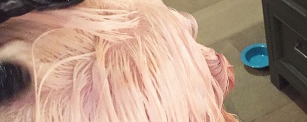 Lady GaGa Lady GaGa