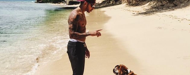 Lewis Hamilton mit seinen Hunde Roscoe und Coco Lewis Hamilton mit seinen Hunde Roscoe und Coco