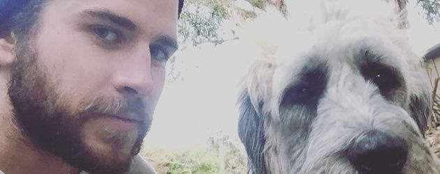 Liam Hemsworth und sein Hund Liam Hemsworth und sein Hund