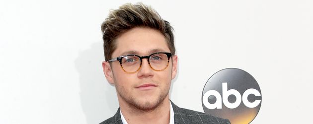 Niall Horan, Sänger Niall Horan, Sänger