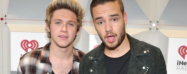 Niall Horan und Liam Payne Niall Horan und Liam Payne