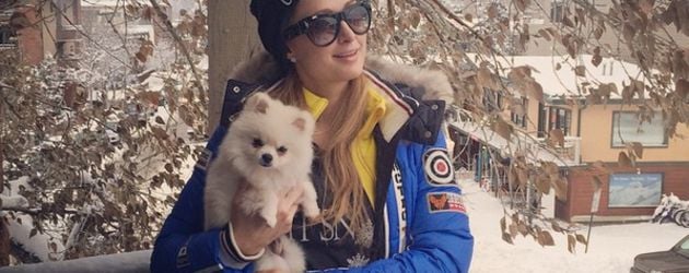 Paris Hilton Paris Hilton