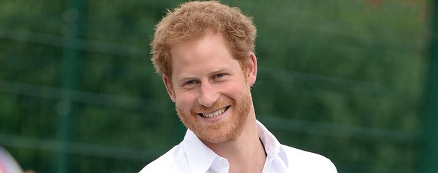 Prinz Harry, englischer Royal Prinz Harry, englischer Royal
