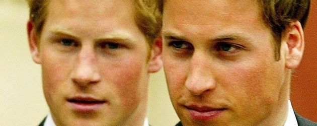 Prinz Harry und Prinz William Prinz Harry und Prinz William