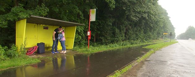 Torsten und Sandra bei "Bauer sucht Frau" Torsten und Sandra bei "Bauer sucht Frau"